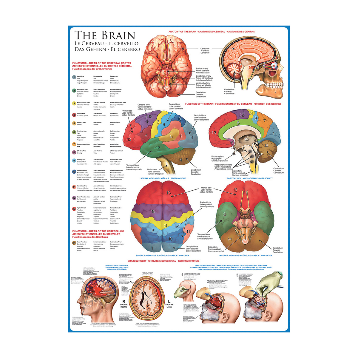 The Brain 1000pc Jigsaw Puzzle additional image