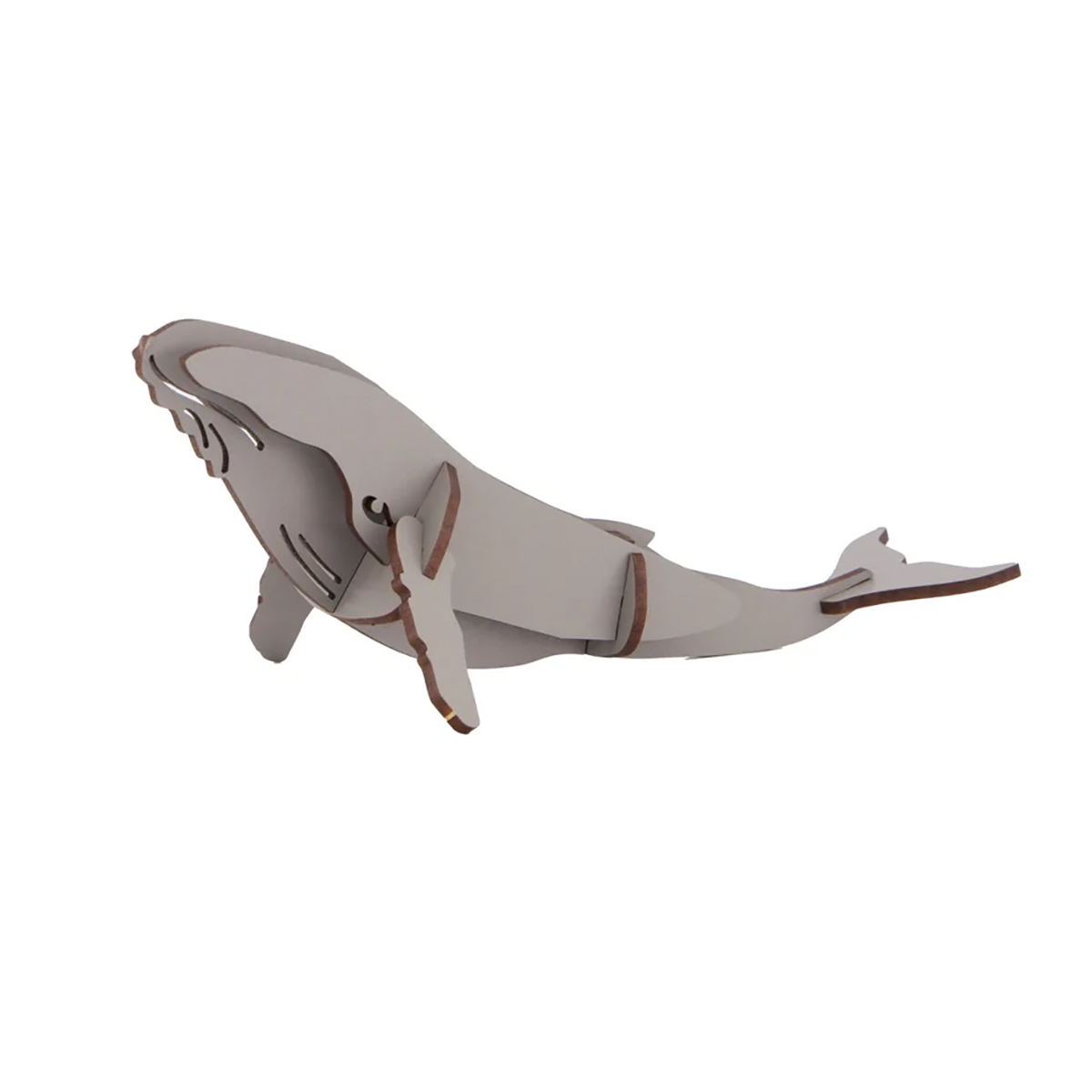 Humpback Whale Wooden Model Kit additional image