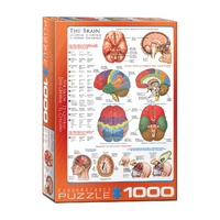 The Brain 1000pc Jigsaw Puzzle Product main image